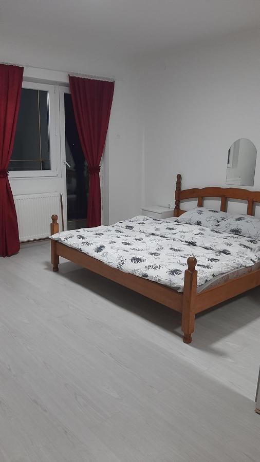 Apartmani Vesna Nowy Sad Zewnętrze zdjęcie